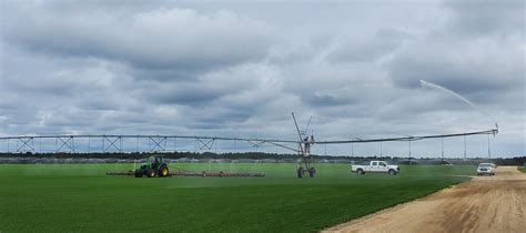 Tuckahoe turf farms - Tuckahoe Turf Farms, Wood River Junction, Rhode Island. 438 likes · 3 talking about this · 23 were here. Tuckahoe Turf Farms grows and sells several varieties of turf grass sod throughout New...